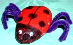 Pebble Bug